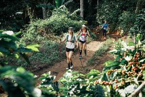 BIB: 
                            <button type="button" onclick="openModal(25855748)" class="btn btn-primary btn-sm float-right btn-popup" data-toggle="modal" data-target=".modal-high-quality">
                        <i class="fas fa-shopping-cart"></i> Add to Cart
                    </button>
                                            <button type="button" onclick="isThisMe(25855748, true)" class="btn btn-success btn-sm float-right btn-popup btn-isme hidden" data-toggle="tooltip" data-placement="bottom" title="นี่คือรูปของคุณใช่ไหม คลิกที่นี่เพื่อเอาเข้าอัลบั้ม">
                        <i class="fas fa-plus"></i> Add to album
                    </button>
                    <button type="button" onclick="isThisMe(25855748, false)" class="btn btn-warning btn-sm float-right btn-popup btn-isnotme hidden">
                        <i class="fas fa-ban"></i> Remove from album
                    </button>